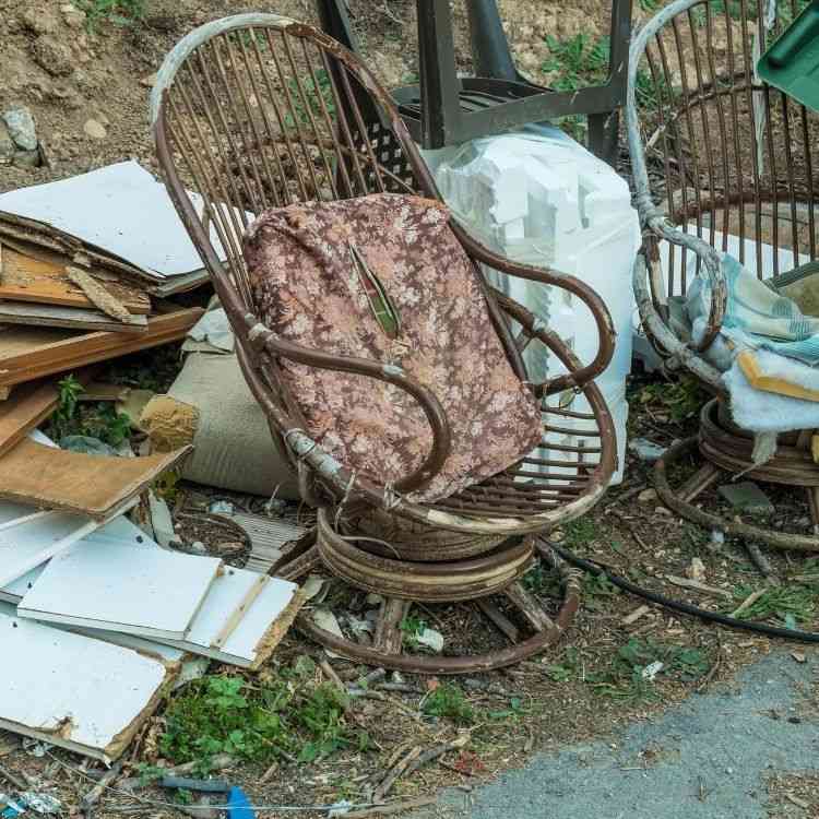 Rubbish removal brisbane, Junk removal, Garden cleanup, Garden clearing, Just clear